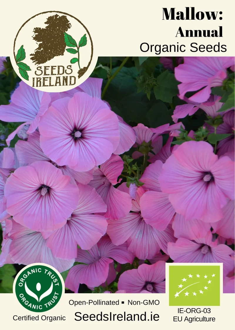 Mallow: Annual Organic Seed