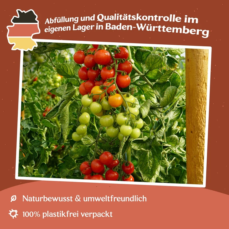 Consuelo F1 Tomatensamen