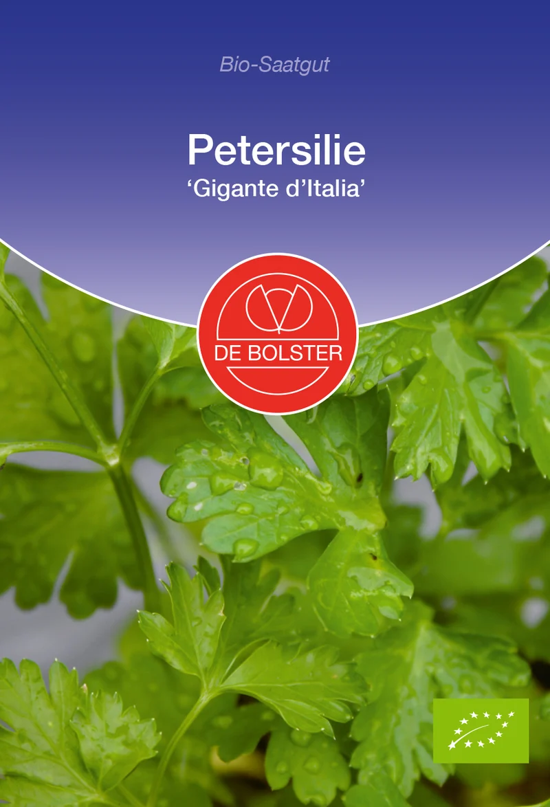 Petersilie Gigante d`Italia | BIO Petersiliensamen von De Bolster [MHD 12/2025]