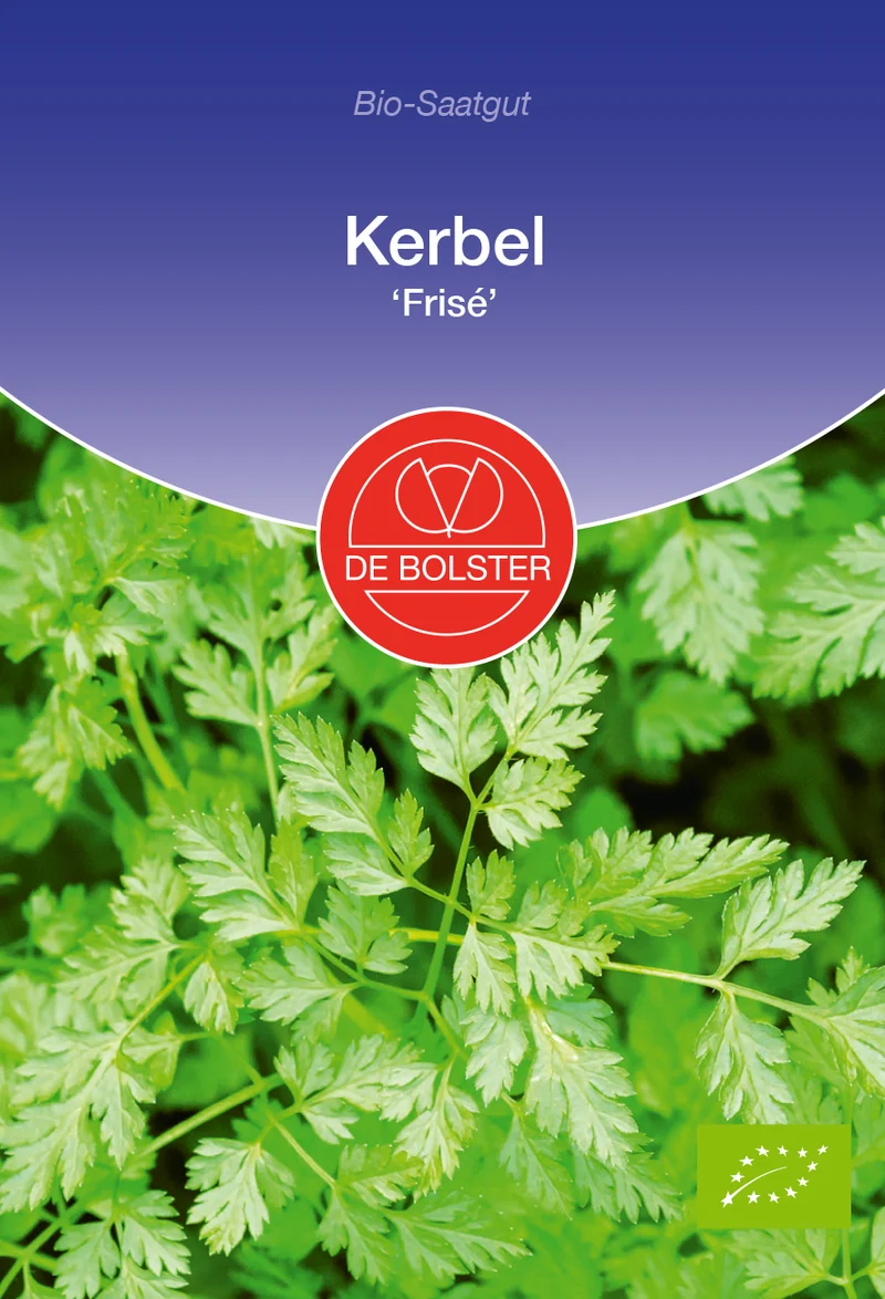 Kerbel Frise | BIO Kerbelsamen von De Bolster [MHD 12/2023]
