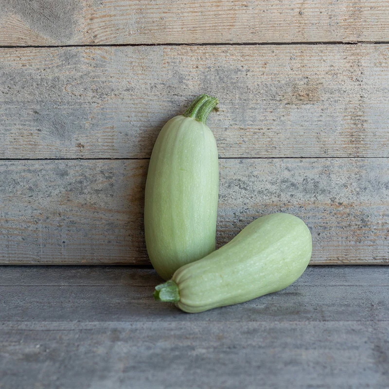 Zucchini - Lungo bianco