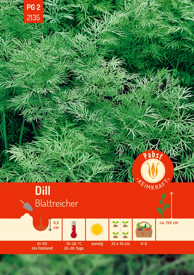 Dill Blattreicher Saatgut