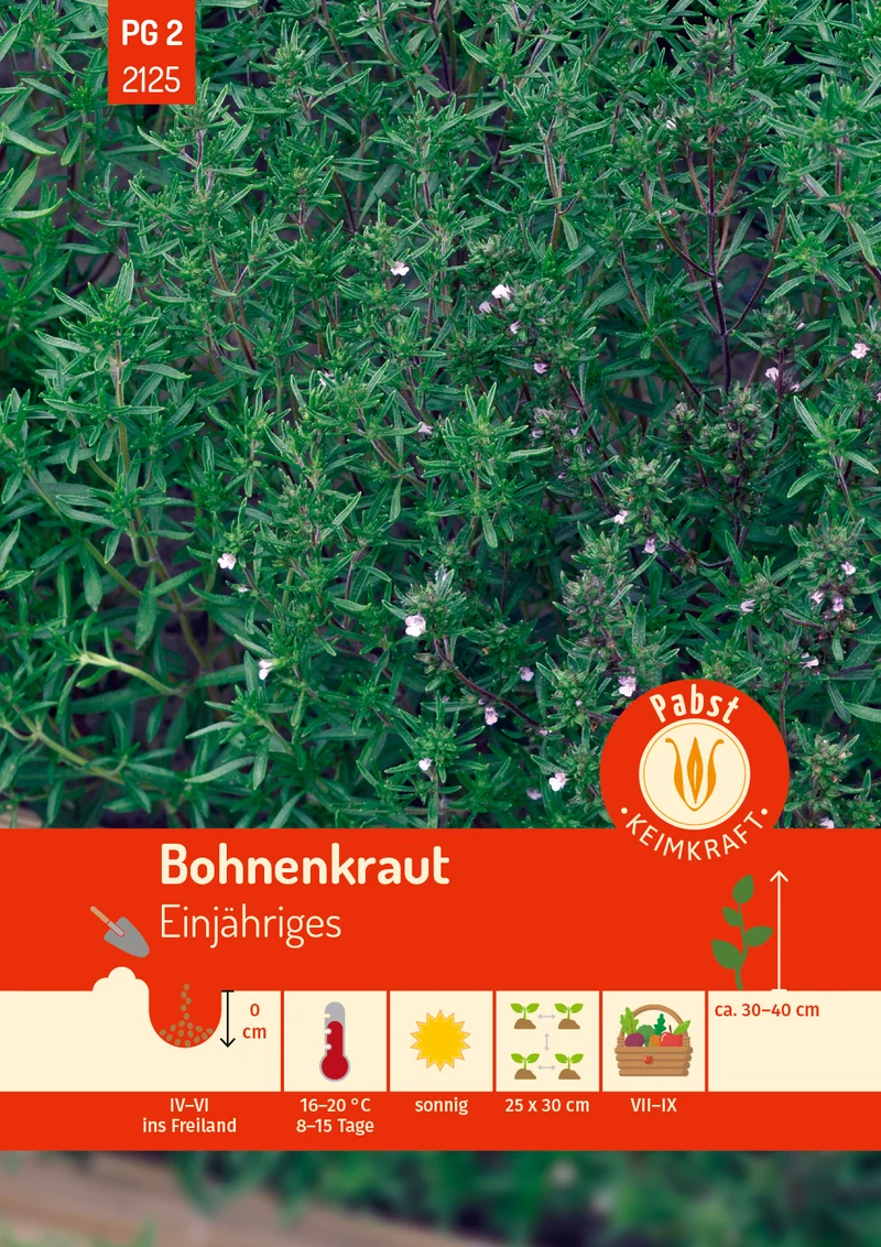 Bohnenkraut Saatgut