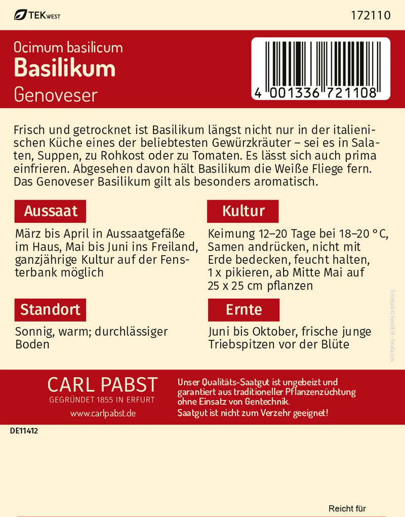 Basilikum Genoveser Saatgut