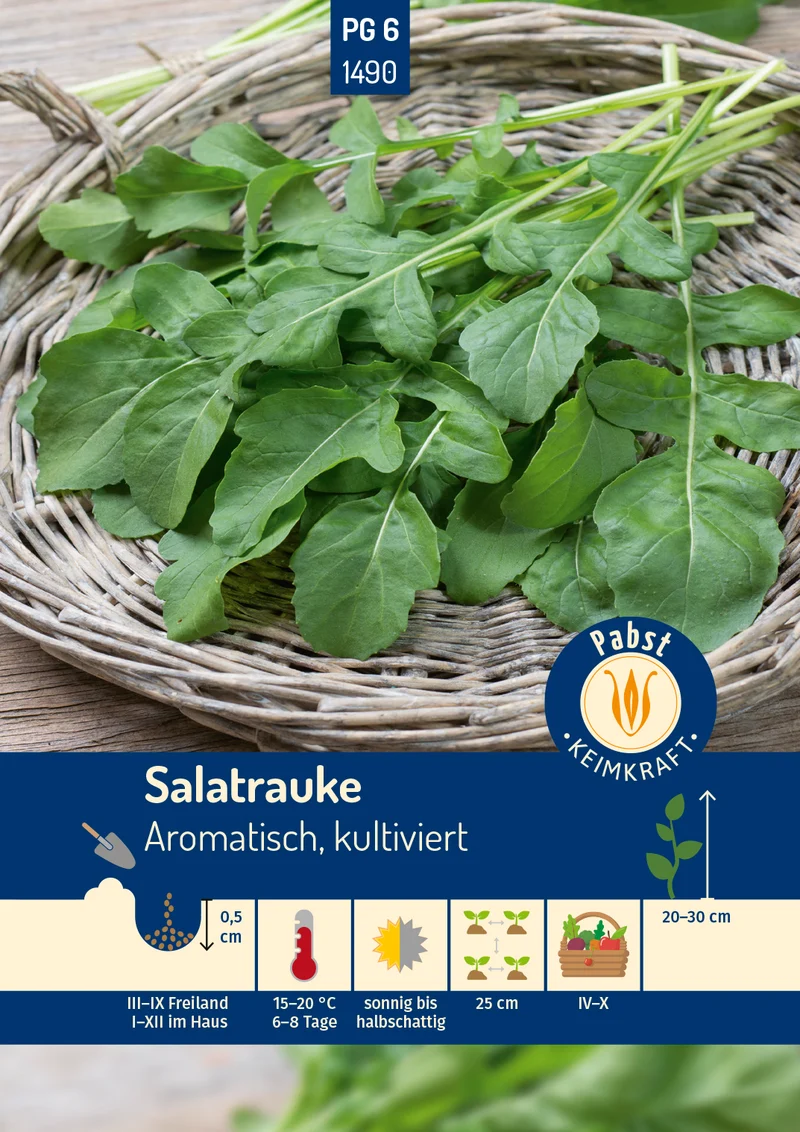 Salatrauke Aromatisch kultiviert Saatgut
