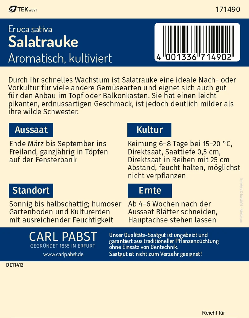 Salatrauke Aromatisch kultiviert Saatgut
