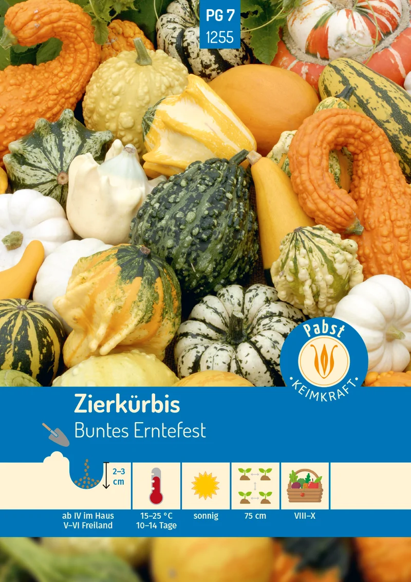 Zierkürbis Buntes Erntefest Saatgut
