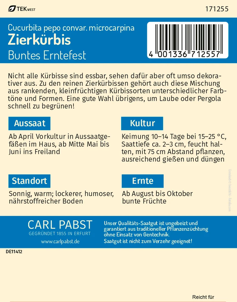 Zierkürbis Buntes Erntefest Saatgut