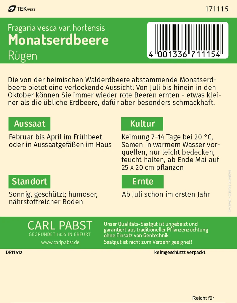 Monatserdbeere Rügen Saatgut