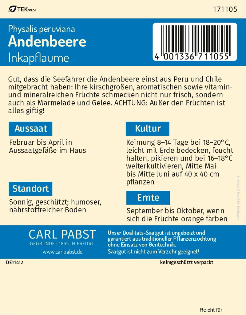 Andenbeere Inkapflaume Saatgut