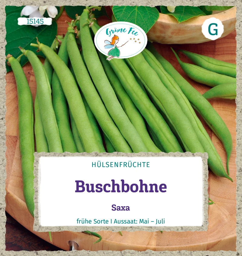 Buschbohne Saxa Saatgut