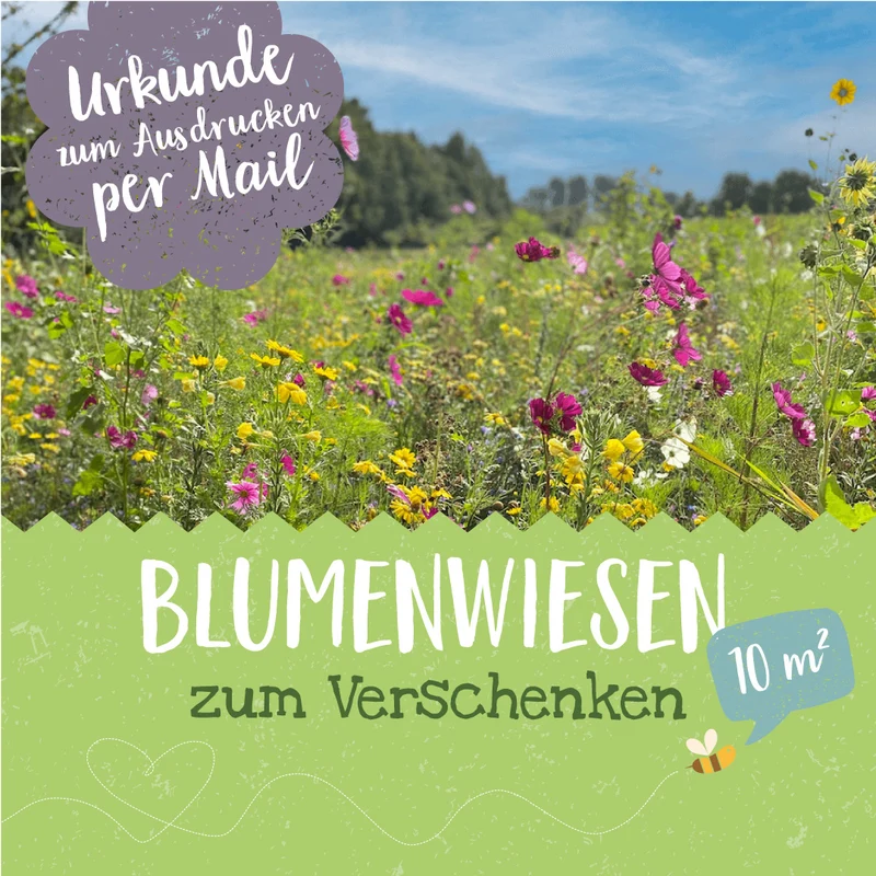 Patenschaft für 10 m² Blumenwiese zum Ausdrucken