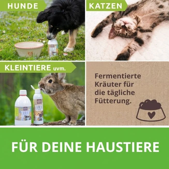 Videlio Ergänzungsfuttermittel