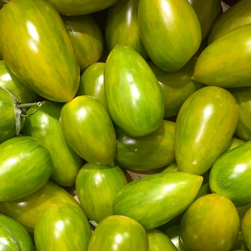 Artisan Green Tiger Bio-Tomatensamen