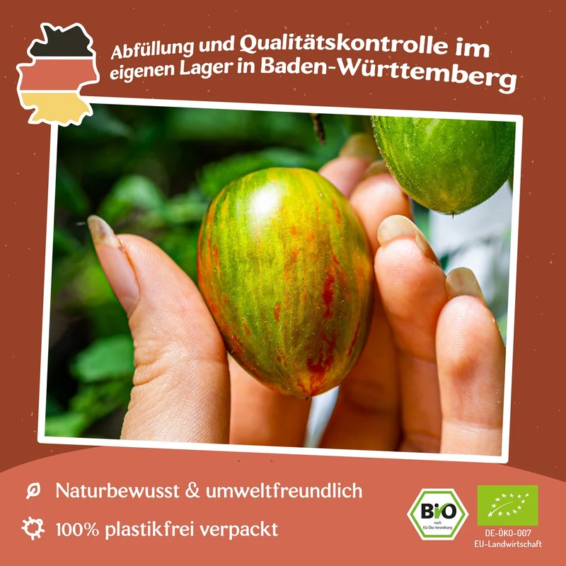 Brad`s Atomic Grape Bio-Tomatensamen