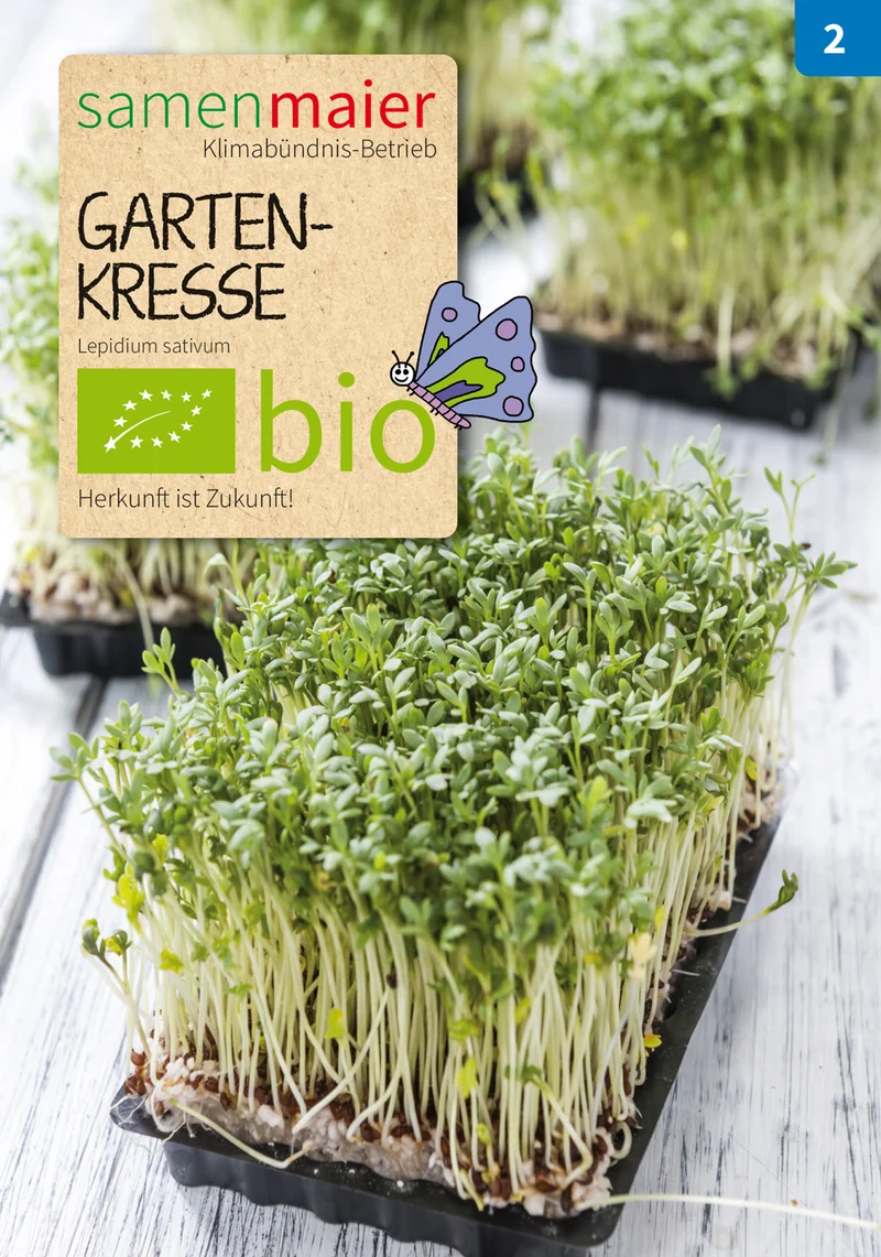 Gartenkresse einjährig | BIO Kressesamen von Samen Maier [MHD 12/2023]