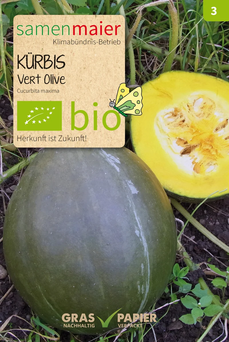 Kürbis Vert Olive | BIO Kürbissamen von Samen Maier [MHD 12/2026]