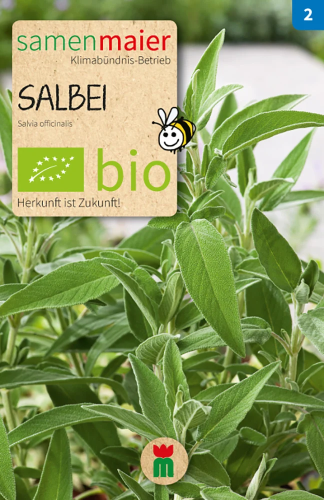 Salbei | BIO Salbeisamen von Samen Maier [MHD 12/2023]