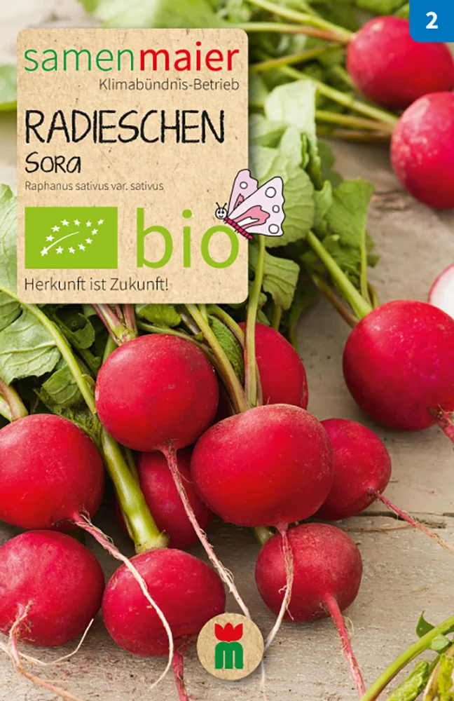 Radies Sora | BIO Radieschensamen von Samen Maier [MHD 12/2024]