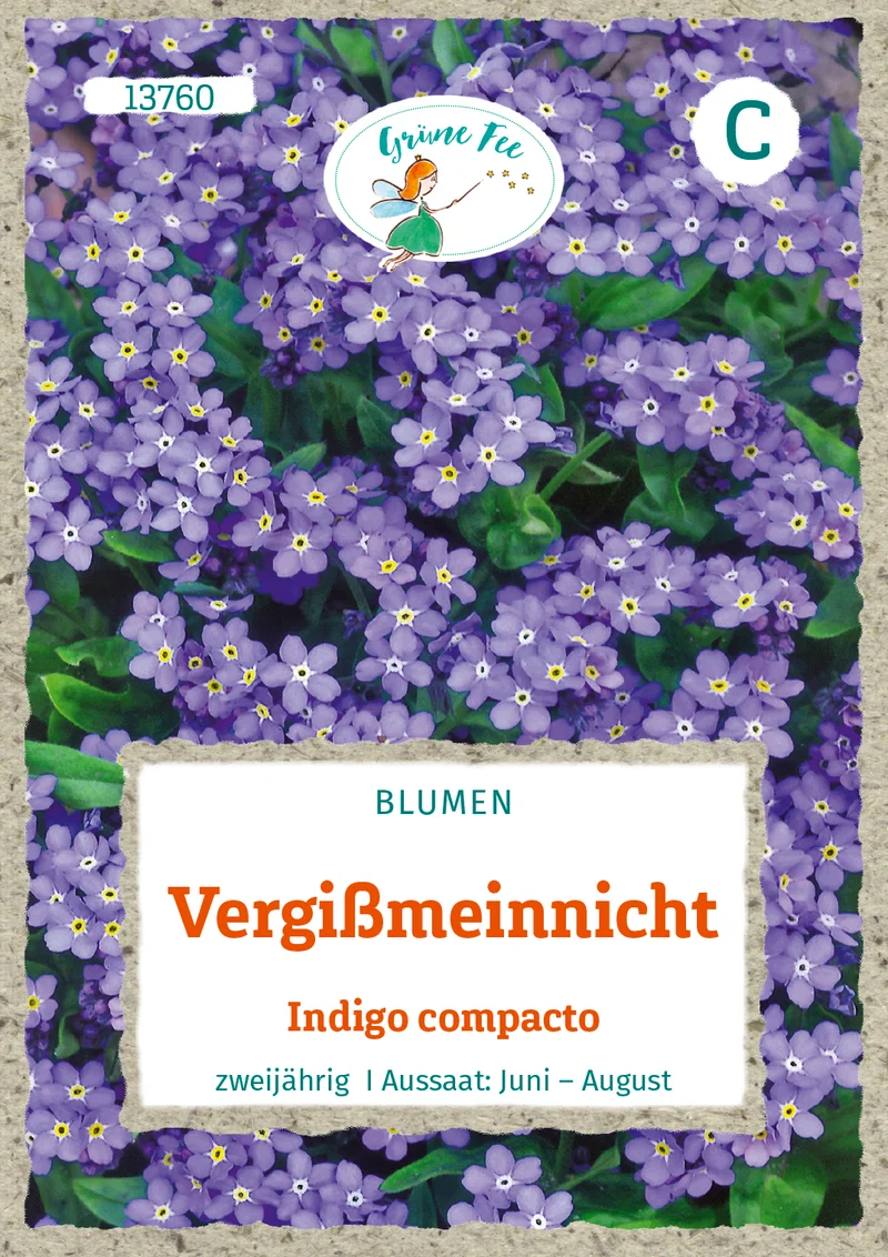 Vergißmeinnicht Indigo compacto Saatgut