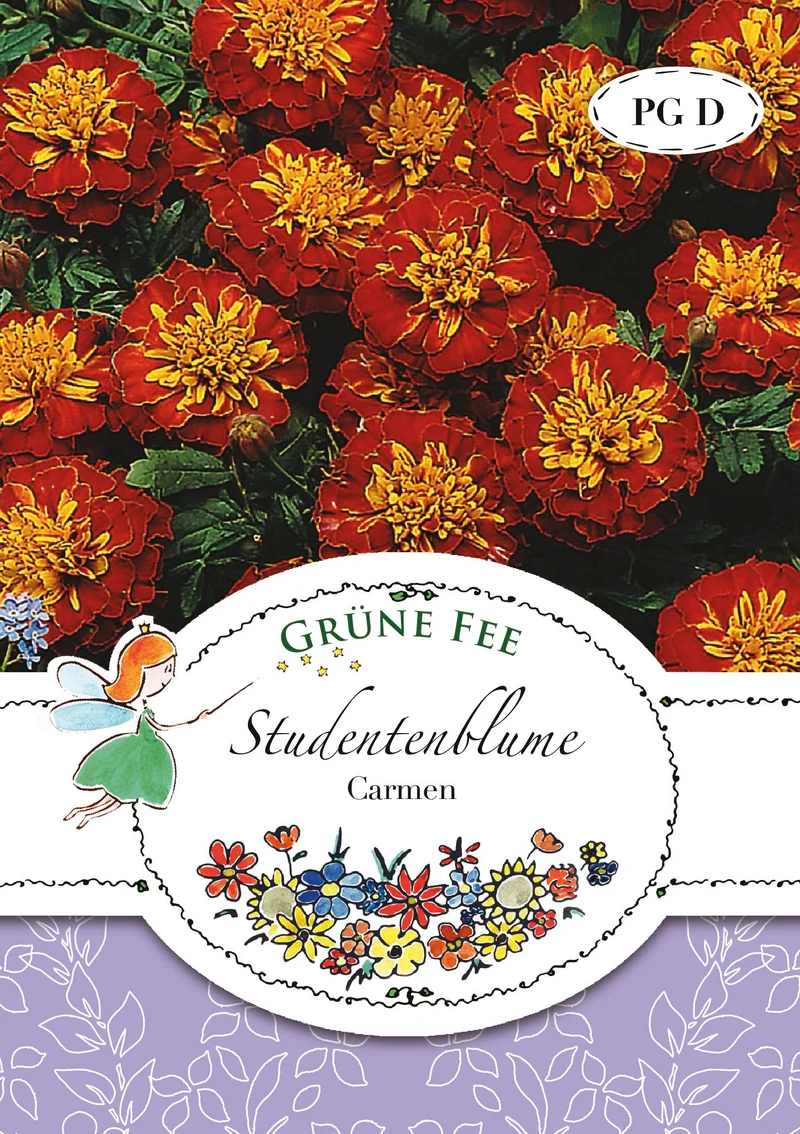 Studentenblume Carmen Saatgut