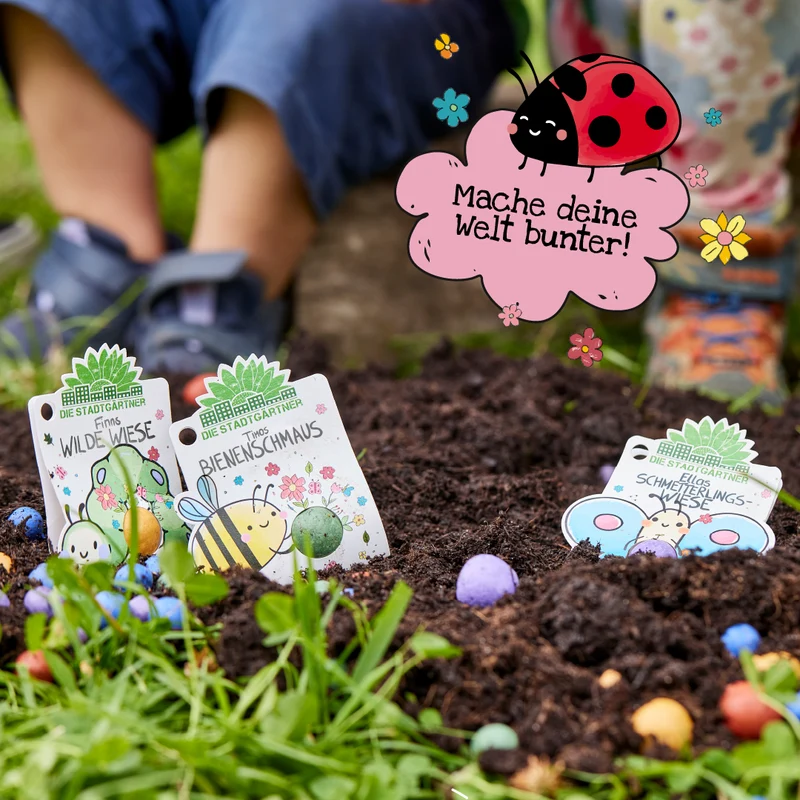 3 x 1 Blumenmurmel – Alle Sorten