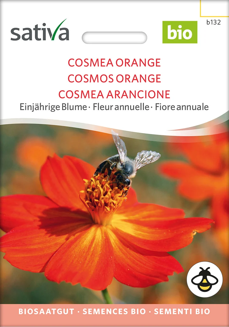 BIO Saatgut Cosmea orange
