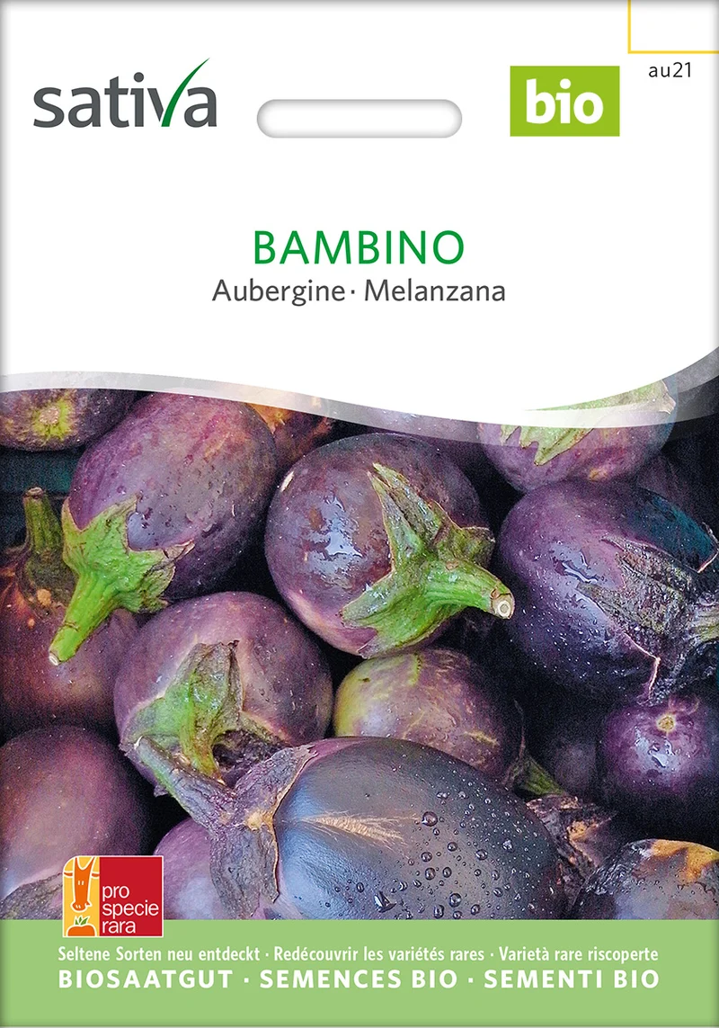 BIO Saatgut Aubergine Bambino