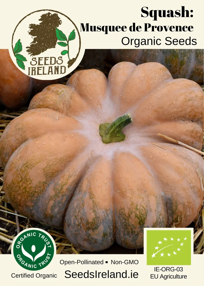 Squash: Musquee de Provence Organic Seed