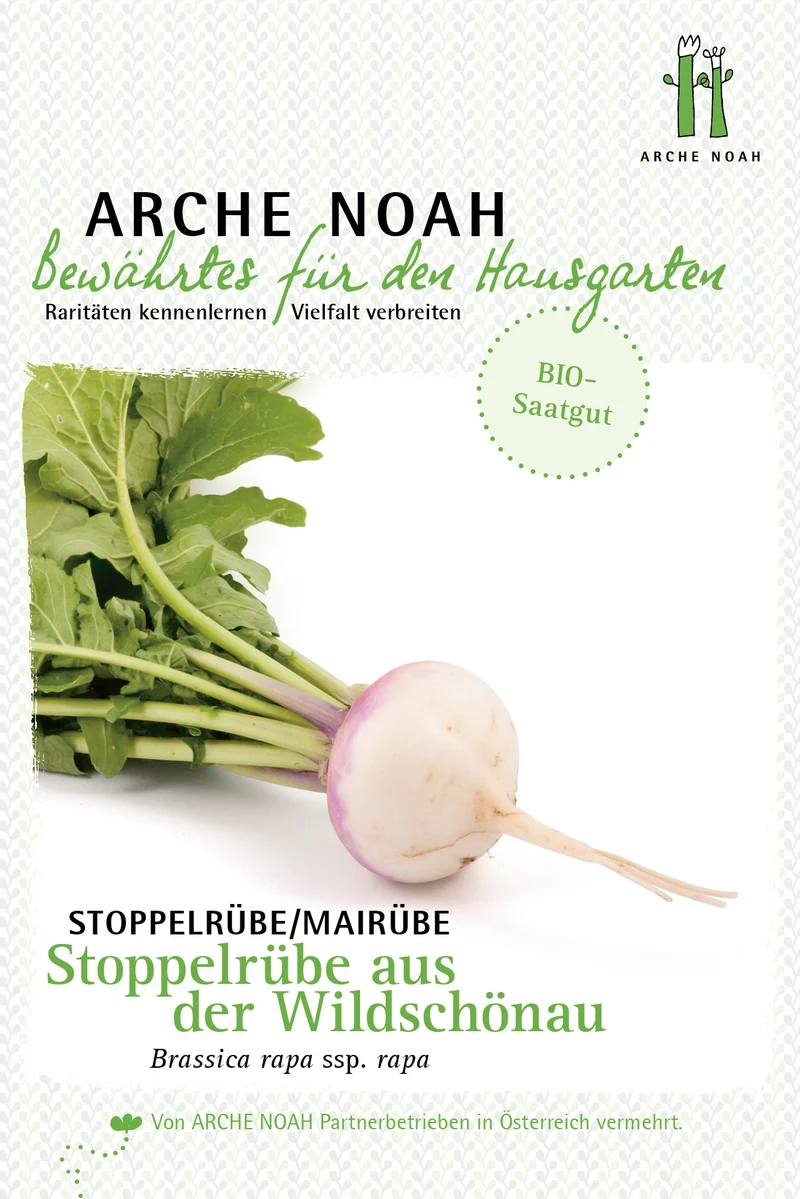 Stoppelrübe aus der Wildschönau | BIO Stoppelrübensamen von Arche Noah [MHD 12/2025]