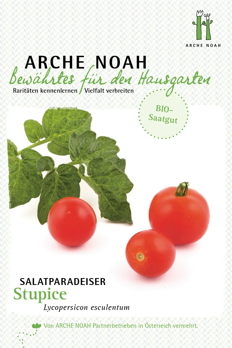 Salattomate Stupice | BIO Salattomatensamen von Arche Noah [MHD 12/2026]