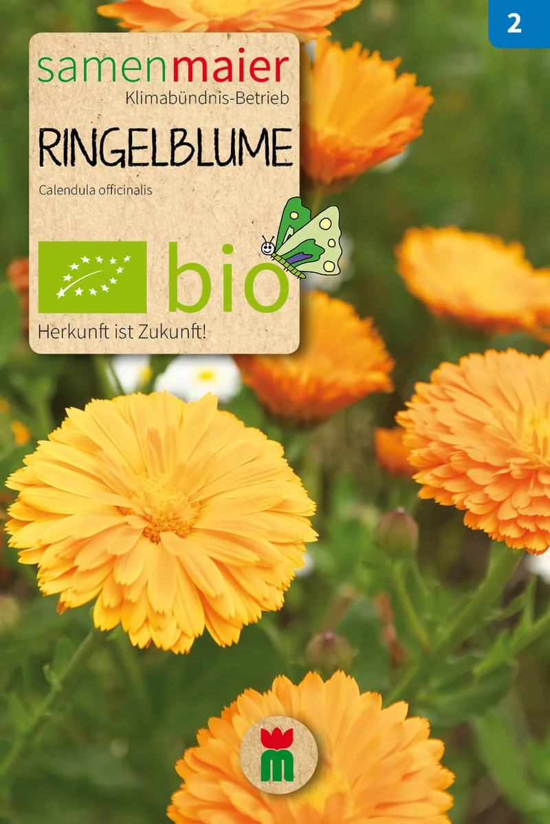 Beet-Box "Blüten aufs Teller!" | BIO Samen-Sets von Samen Maier