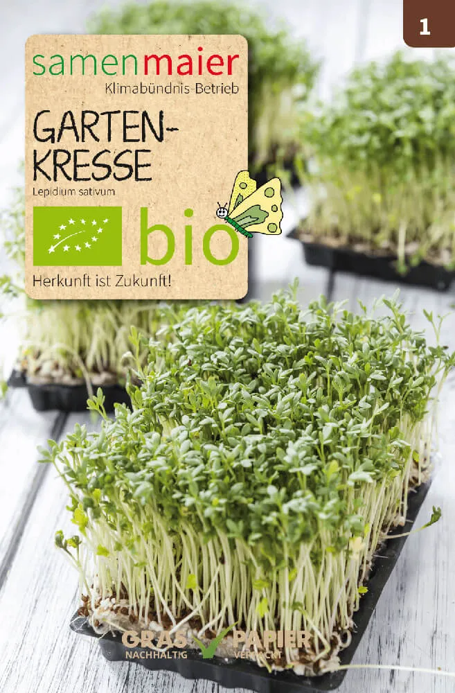 Beet-Box "Jausenbox" | BIO Samen-Sets von Samen Maier [MHD 12/2026]