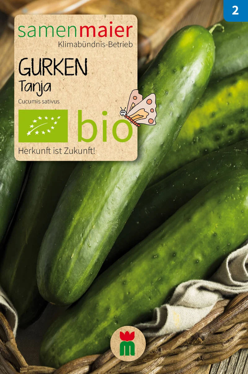 Beet-Box "Jausenbox" | BIO Samen-Sets von Samen Maier [MHD 12/2026]