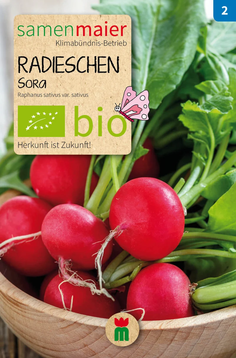 Beet-Box "Jausenbox" | BIO Samen-Sets von Samen Maier [MHD 12/2026]