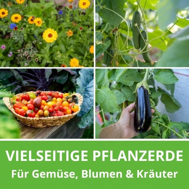 Chiemgauer Bio-Schwarzerde - torffreie Terra Preta Erde
