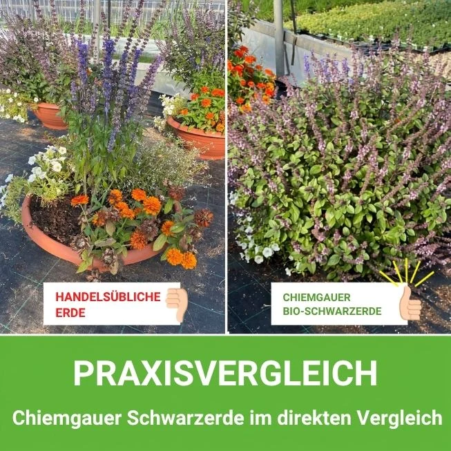Chiemgauer Bio-Schwarzerde - torffreie Terra Preta Erde