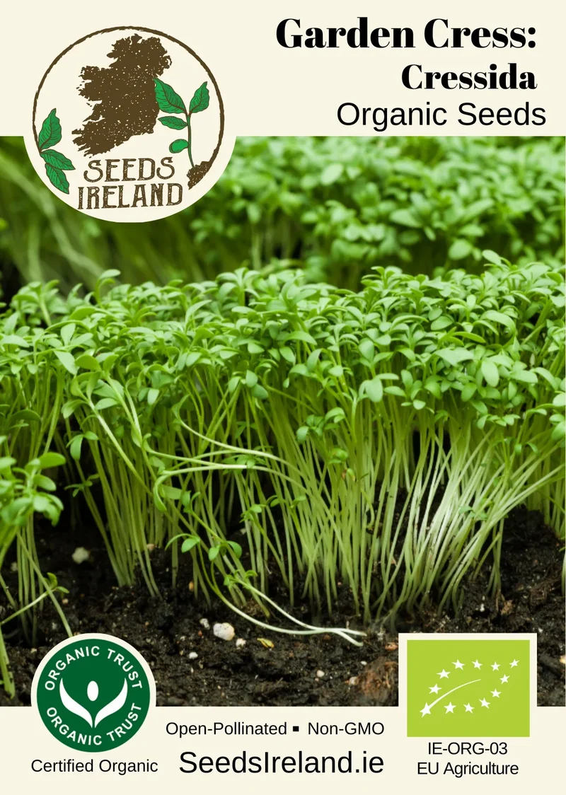 Garden Cress: Cressida Organic Seed