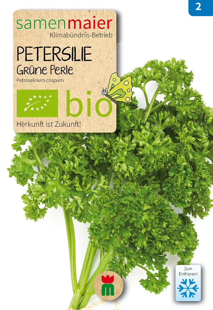 Petersilie Grüne Perle | BIO Petersiliensamen von Samen Maier [MHD 12/2026]
