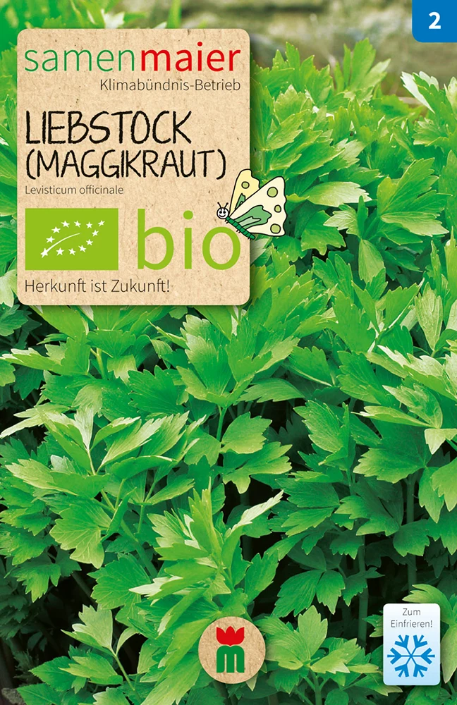 Liebstock (Maggikraut) mehrjährig | BIO Liebstöckelsamen von Samen Maier [MHD 12/2023]