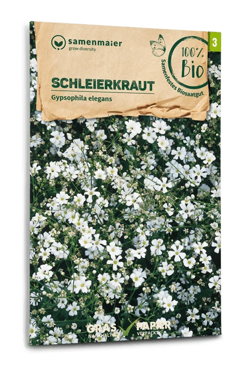 Schleierkraut einfache weiß | BIO Blumensamen von Samen Maier [MHD 12/2026]