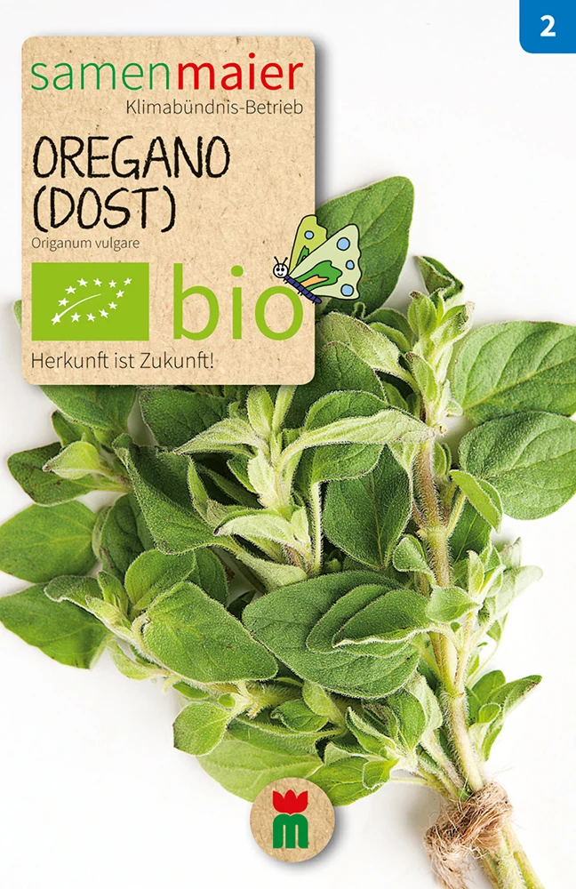 Oreganosamen Oregano-Dost mehrjährig | BIO Oreganosamen von Samen Maier [MHD 12/2023]