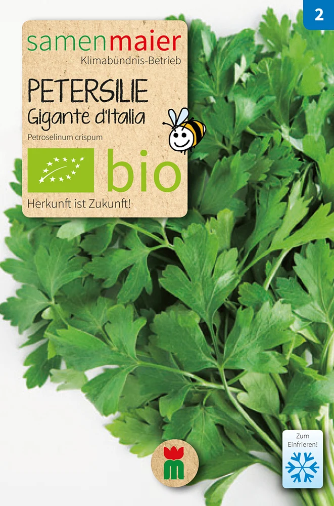 Petersilie Gigante d'Italia einjährig | BIO Petersiliensamen von Samen Maier [MHD 12/2023]