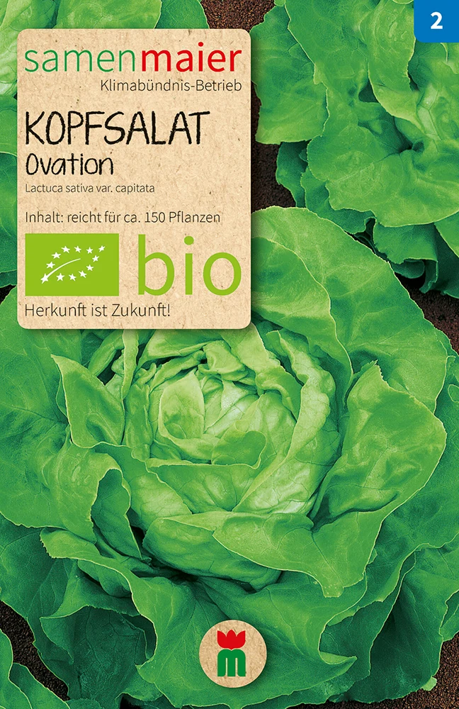 Kopfsalat Ovation | BIO Kopfsalatsamen von Samen Maier [MHD 12/2023]