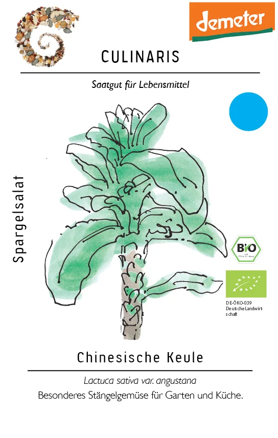 Spargelsalat Chinesische Keule | BIO Spargelsalatsamen von Culinaris