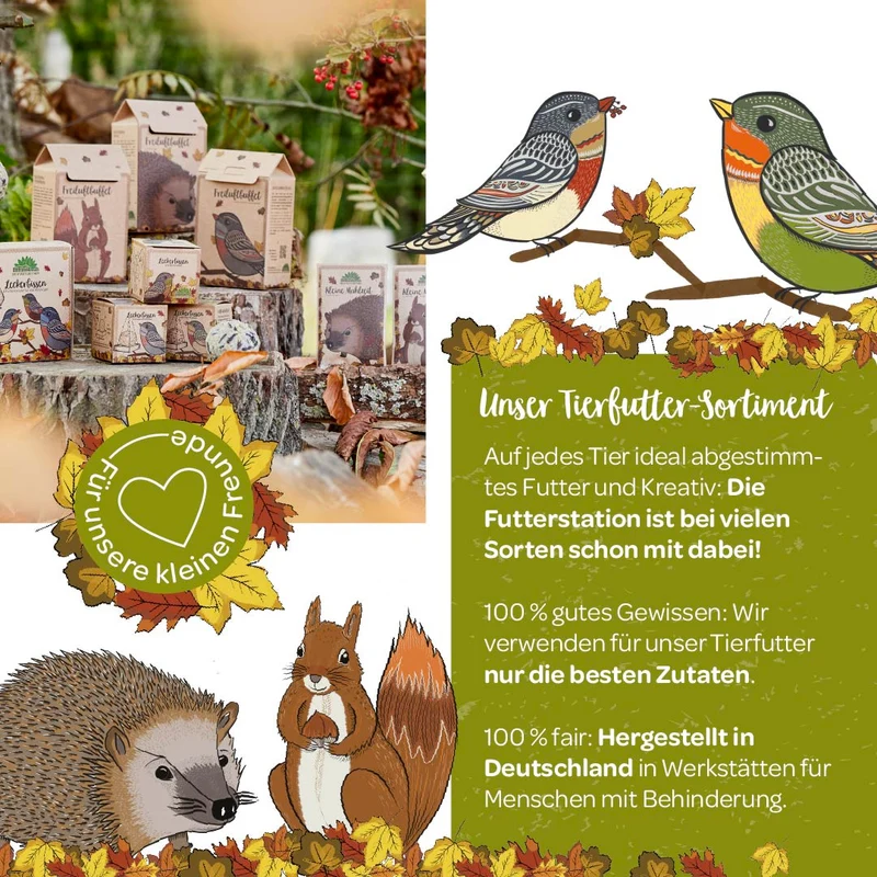 Vogelfutterhaus mit großer Mahlzeit