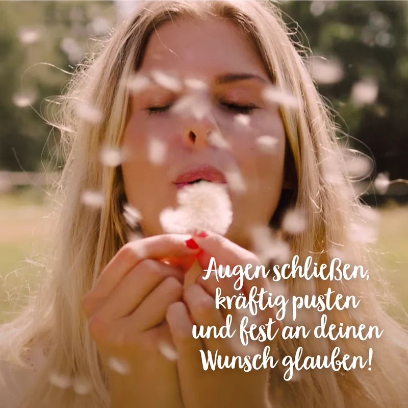 Wunscherfüller, mittel