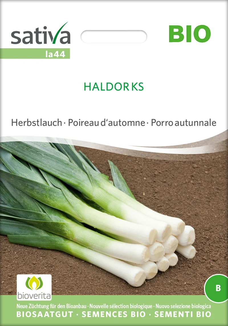 Herbstlauch Haldor Ks | BIO Lauchsamen von Sativa Rheinau [MHD 12/2026]