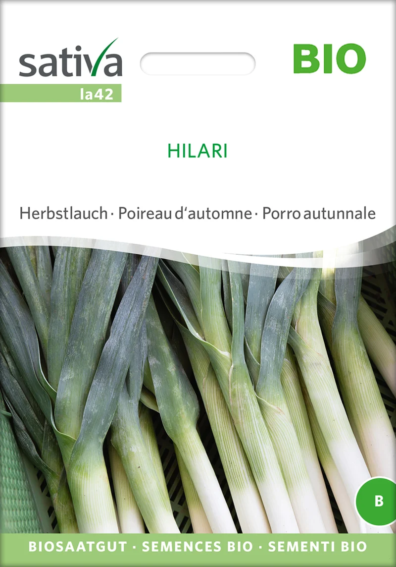 Herbstlauch Hilari | BIO Lauchsamen von Sativa Rheinau