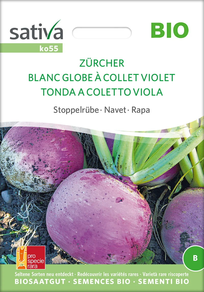 Stoppelrübe Zürcher | BIO Rübensamen von Sativa Rheinau